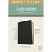 NLT Personal Size Giant Print Bible, Filament Enabled Edition (Red Letter, Genuine Leather, Black)