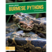 Burmese Pythons