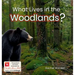 What Lives in the Woodlands?