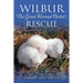 Wilbur: The Great Horned Owlet's Rescue