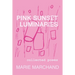 Pink Sunset Luminaries