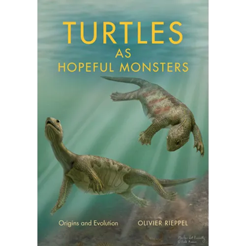 Turtles as Hopeful Monsters: Origins and Evolution