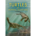Turtles as Hopeful Monsters: Origins and Evolution