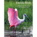 Florida Birds: A Birdwatcher Discovers the Sunshine State