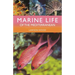 Marine Life of the Mediterranean