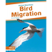 Bird Migration