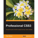 Professional CSS3