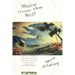 Water from the Well