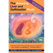 The Amazing Liver and Gallbladder Flush: A Powerful Do-It-Yourself Tool to Optimize Your Health and Well-being...and Much More