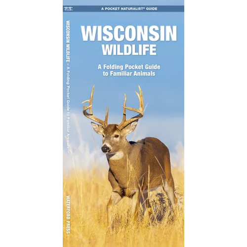 Wisconsin Wildlife: A Folding Pocket Guide to Familiar Animals