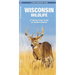 Wisconsin Wildlife: A Folding Pocket Guide to Familiar Animals