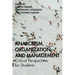 Anarchism, Organization and Management: Critical Perspectives for Students