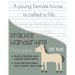 Practice Handwriting Horses for Kids: Practice printing while learning about horses Trace and Write Horse facts, quotes, jokes & More