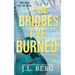 The Bridges I've Burned: A Small Town Opposites Attract Rockstar Romance