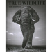 True Wildlife