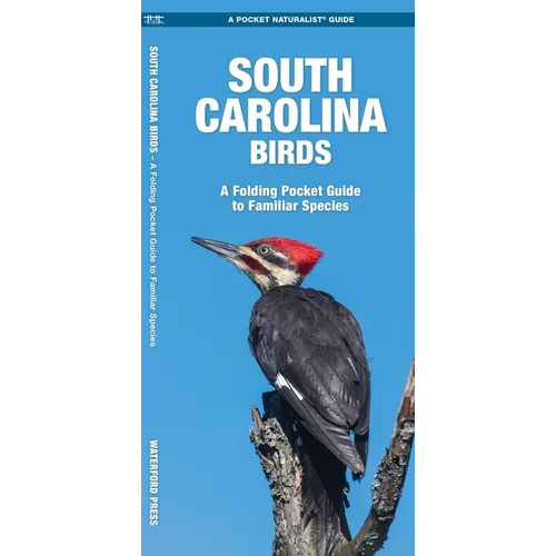 South Carolina Birds: A Folding Pocket Guide to Familiar Species