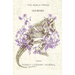 Old Bones: Year One