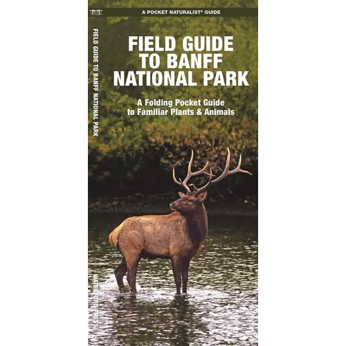 Field Guide to Banff National Park: A Folding Pocket Guide to Familiar Plants & Animals