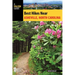 Best Hikes Near Asheville, North Carolina