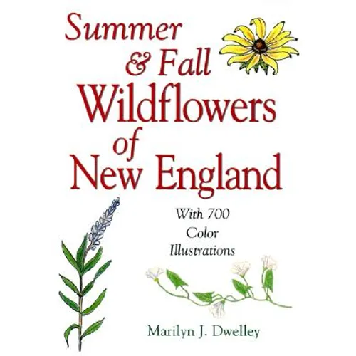 Summer & Fall Wildflowers of New England