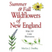 Summer & Fall Wildflowers of New England