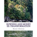 Dowsing and Money III: Transformation