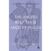 Angels Keep Their Ancient Places: Reflections on Celtic Spirituality