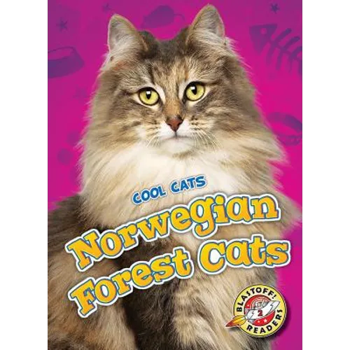 Norwegian Forest Cats