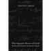 The Square Root of God: Mathematical Metaphors and Spiritual Tangents