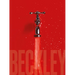 Bill Beckley and Narrative Art: The Word-Image Riddle and the Aesthetics of Beauty
