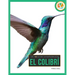 El Colibrí: Spanish Edition
