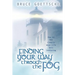 Finding Your Way Through the Fog