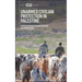 Unarmed Civilian Protection in Palestine
