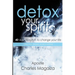 Detox Your Spirit: 40 day devotion to change your life