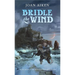 Bridle the Wind