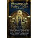 Steampunk Fairy Tales 2