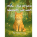 Hilde - the cat who sees with her heart