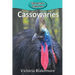 Cassowaries