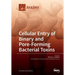 Cellular Entry of Binary and Pore-Forming Bacterial Toxins