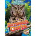 Screech Owls