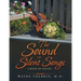 The Sound of Silent Songs: A Book of Poetry