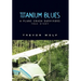 Titanium Blues