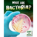 What Are Bacteria?
