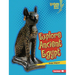 Explore Ancient Egypt