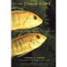The Cichlid Fishes: Nature's Grand Experiment in Evolution
