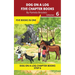 Five Chapter Books 6: Decodable Series for Students Learning to Read. For Developing Readers and Students with Dyslexia. (Step 6-Exception words conta