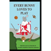 Every Bunny Loves to Play