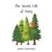 The Secret Life of Trees