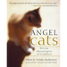 Angel Cats: Divine Messengers of Comfort