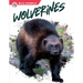 Wolverines